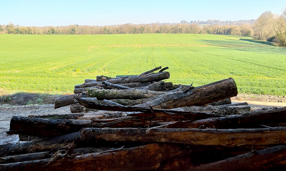 livraison-lannion-bois-chauffage